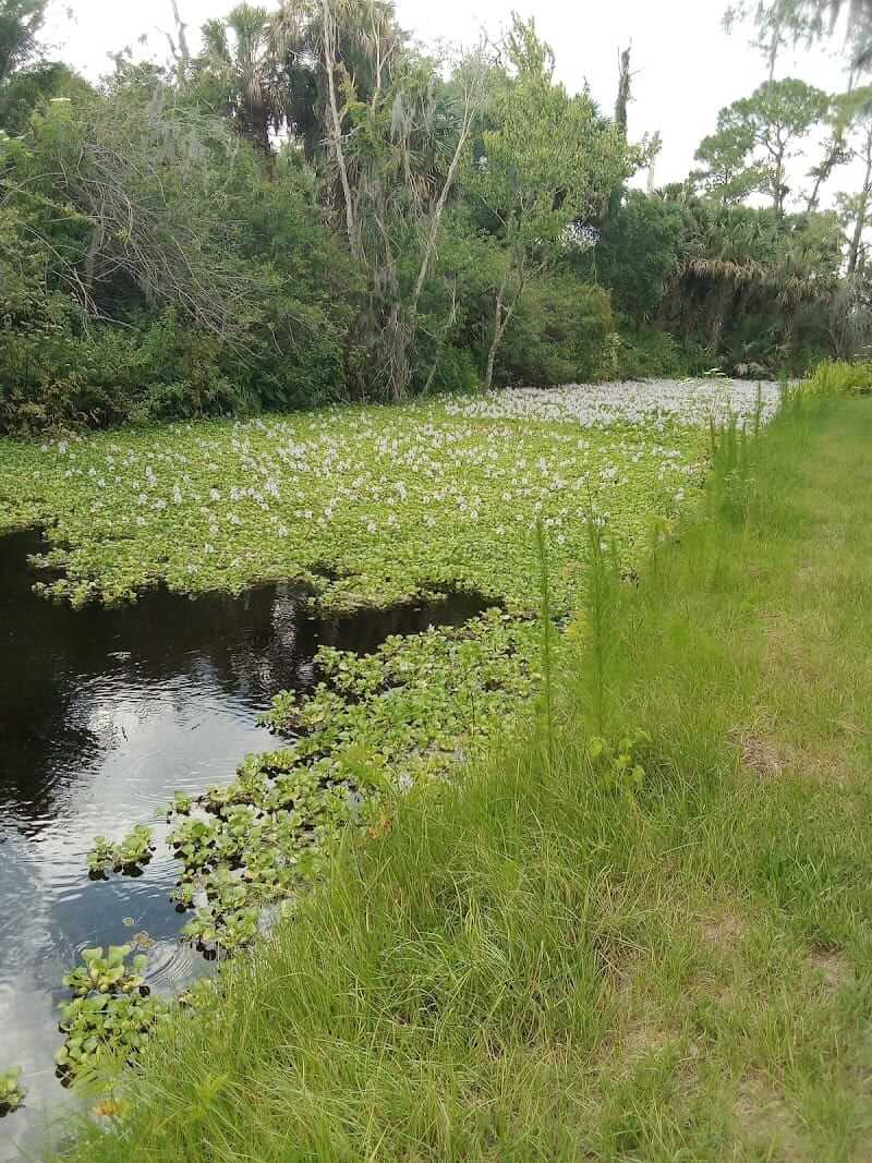 Florida Eustis