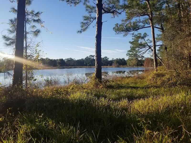 Florida Pine Lakes