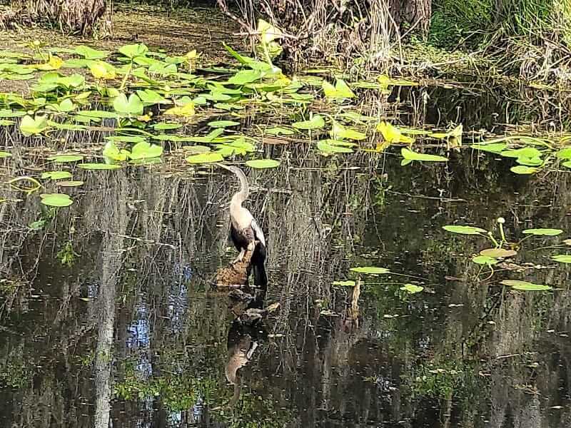 Florida Hunters Creek