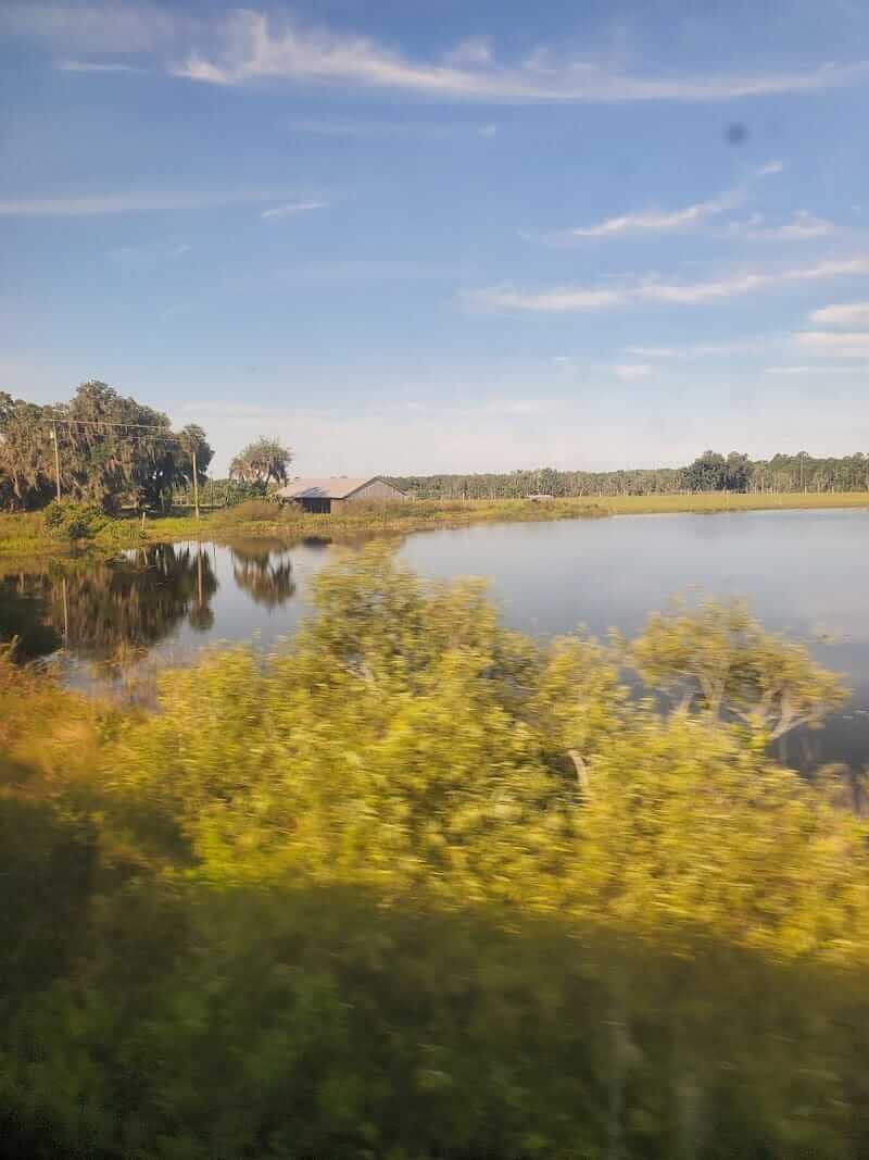 Florida Pierson