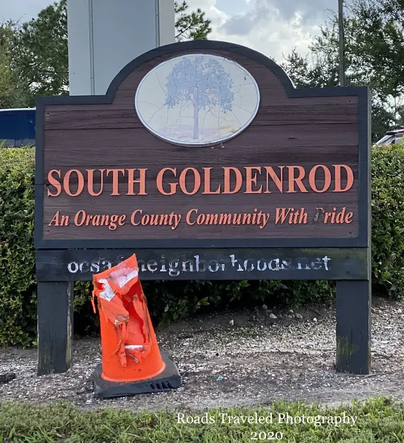 Florida Goldenrod